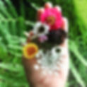 Flowers and Herbs