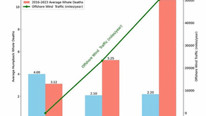 Debunking NOAA’s Lies With Science Or NOAA Lied, Whales Died