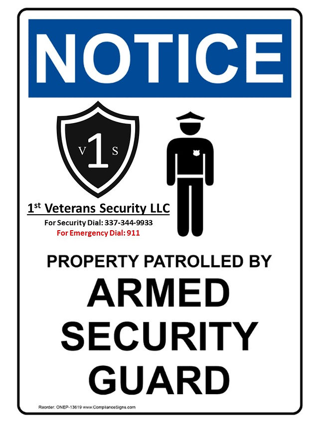 Professional Armed Security