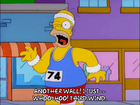 giphy (1).gif