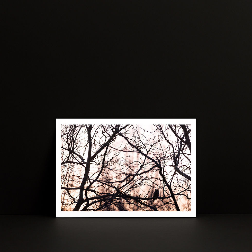 Petit tirage photo A5 « Au revoir avant la nuit » — Hibou moyen-duc, présenté dans un mockup carré