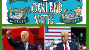 2020 Elections