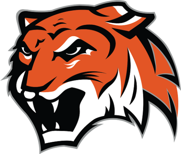 DN Tiger_edited_edited_edited.png