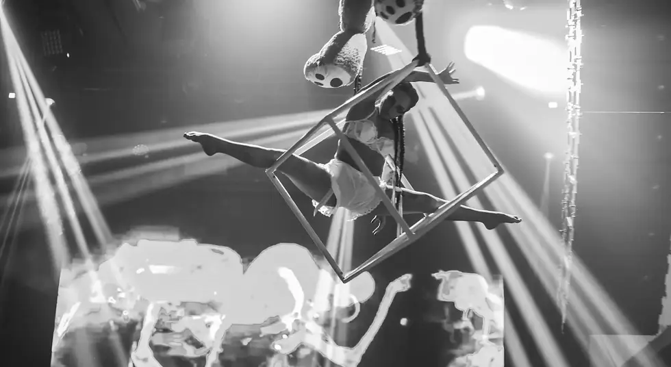 Aerial performer suspended in a cube above the HK Hall stage at The Haunted Circus in 2025.