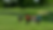 Image of four golfers walking on a green.