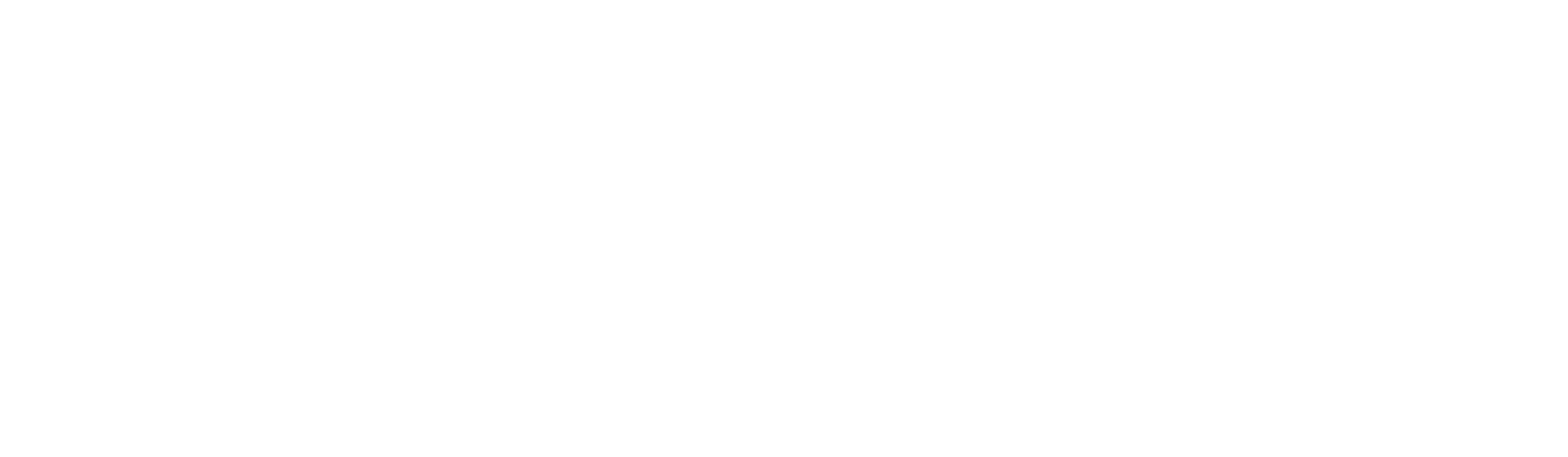 Evisens_logotyp_vit.png