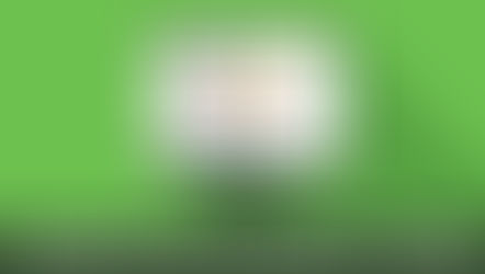 eSocial - Novo eSocial: divulgada versão Beta do leiaute simplificado