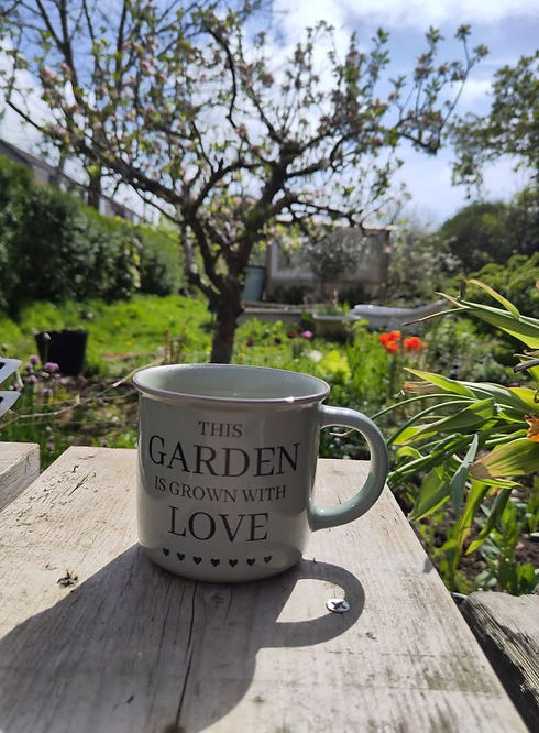 Garden.jpg