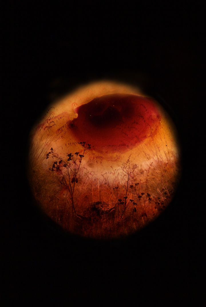 7a Annabelle Moreau Expos The Observator