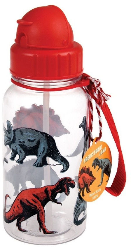 Thumbnail: Dinosaur Water Bottle