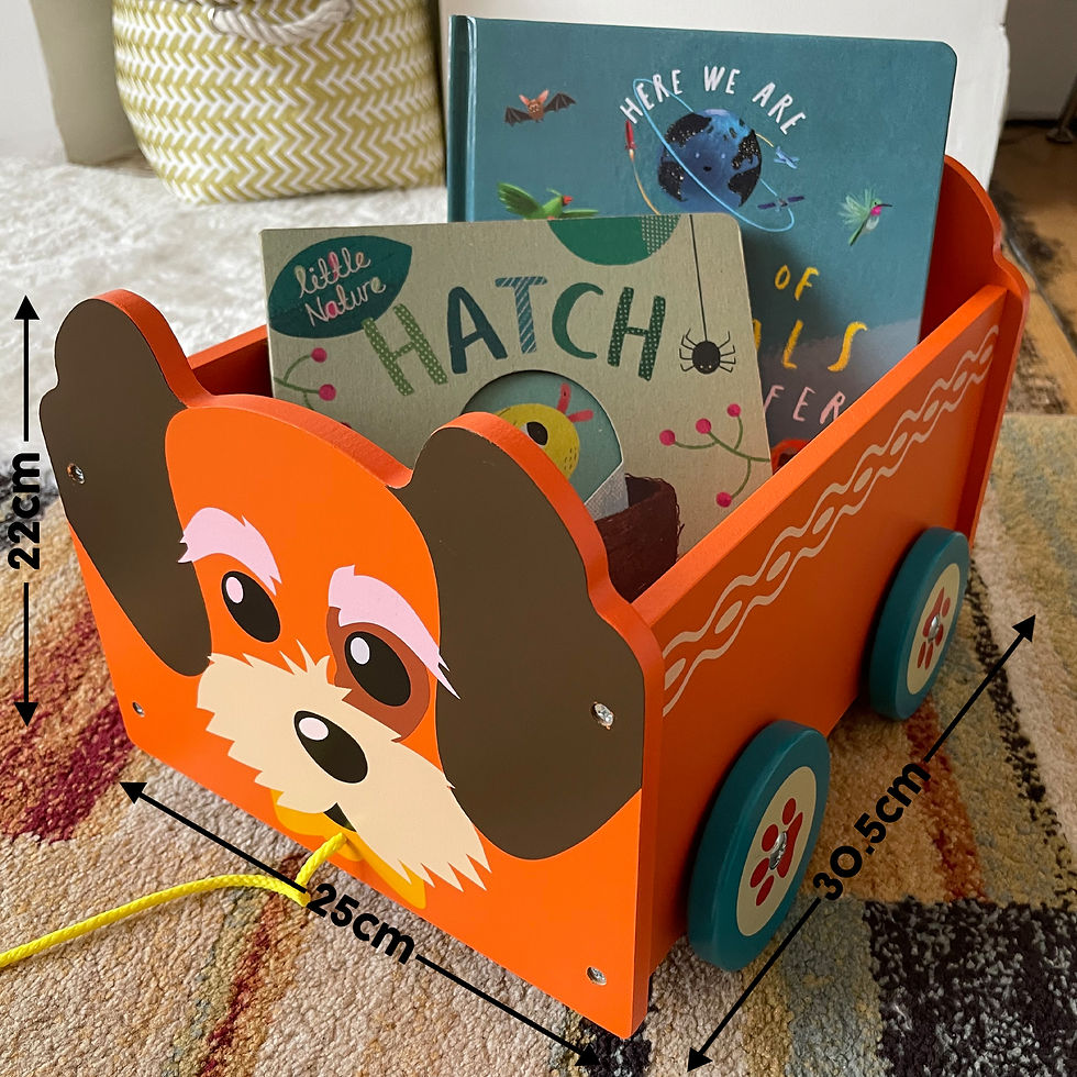 Thumbnail: Pull Along Toy Boxes - by Bee Smart Toys