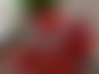 ドライ苺のタルト、神戸舞子お菓子教室CakeCake