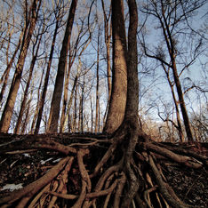 Não Perca as Primícias de Elul para Estabelecer Seu Curso com Revelação!
Superando o Poder do Trauma
