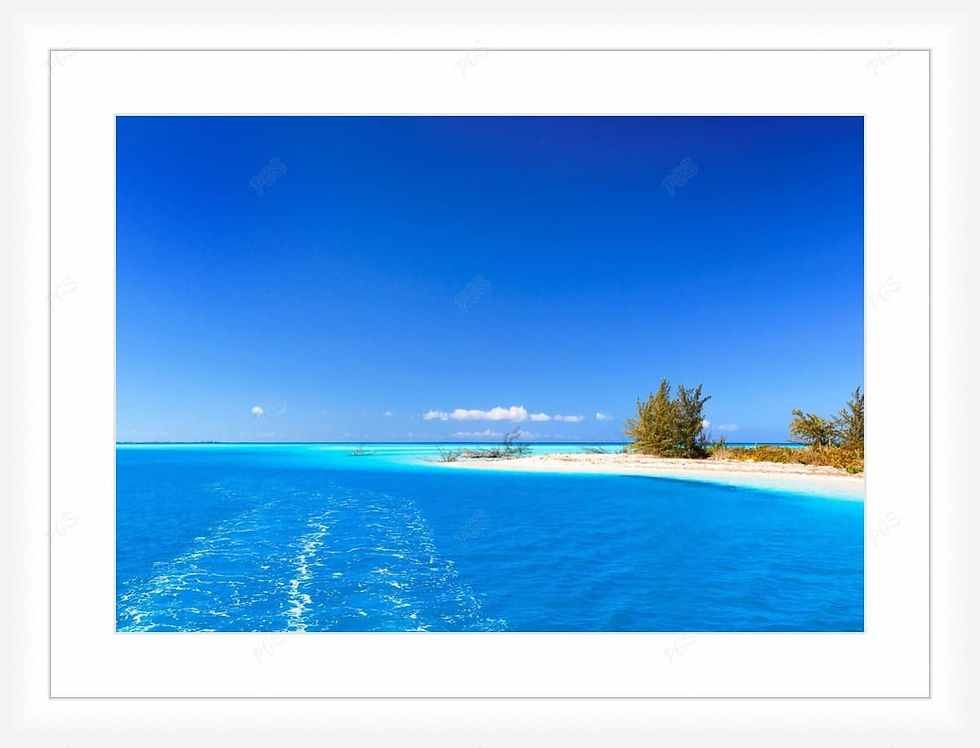 Thumbnail: Up The Cays - Turks and Caicos Islands