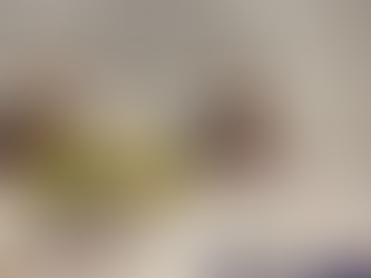 Prof. JEFERSON DYTZ MARIN palestra em Seminário Internacional de Direito