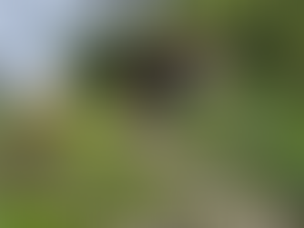 New Zealand (North Island)