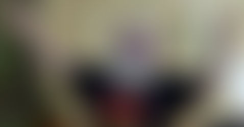 Chivas se salvará y México será campeón: Brujo Mayor