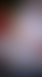 Arranca la disputa por 7 curules.