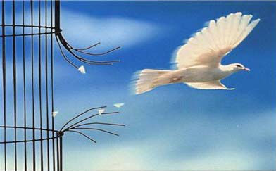 23 de enero Dia Mundial de la libertad.