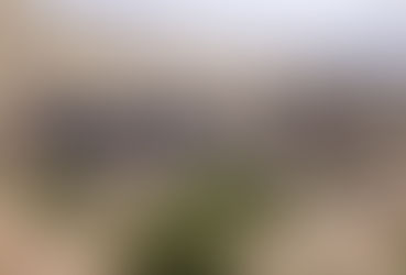 Siguen investigaciones de casos de desaparecidos en Coahuila.