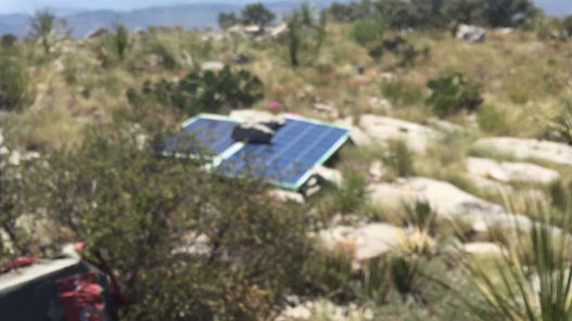 Dan duro golpe a la delincuencia organizada