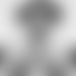 Un dia como hoy Pancho Villa se proclama presidente de México