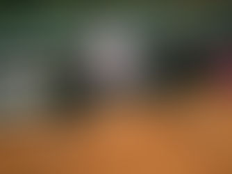 Venus Williams sella victoria de EU sobre Argentina