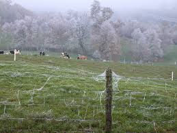 Prevén heladas en siete estados de la República para este sábado