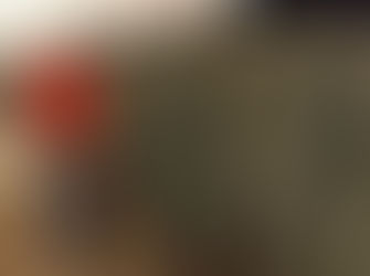 Apoya a las familias productoras de árboles de Navidad