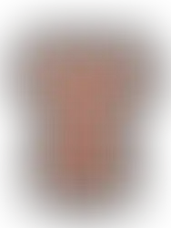 westerntshirt_westernoutfit_reitbekleidung_shirts_cowgirl_ranch_girls_westernmode_oswsa_westernreitbekleidung_damen_westernre