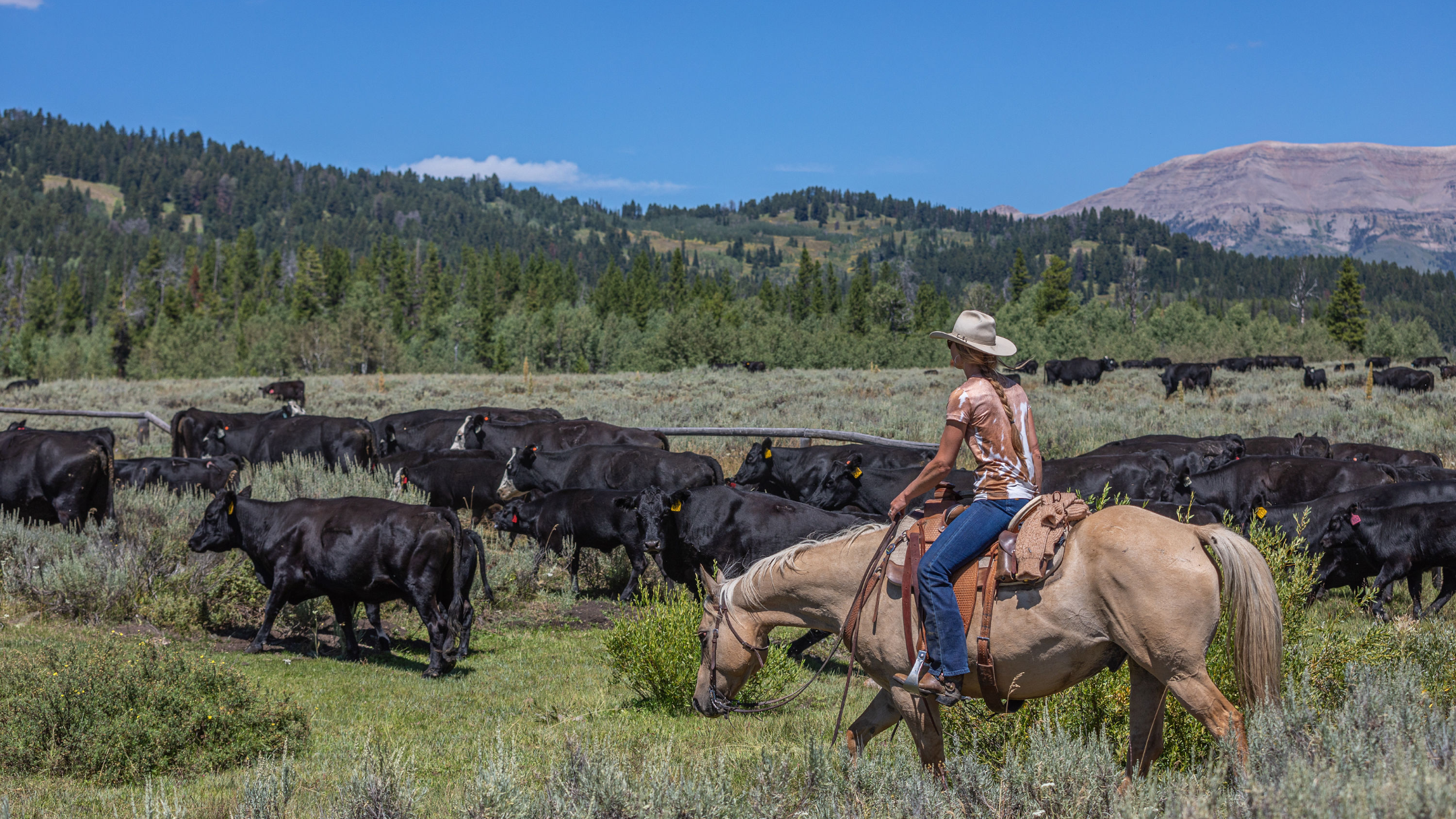 Ranch_Girls_Shirt_Cow_Westernoutfit_Westernreiten2.webp