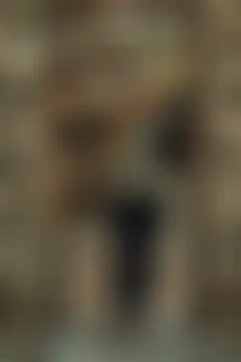 western-vest-Hypridvest-westernoutfit-naylon-frauen_outfit-cowgirl_ranch-girls_functionvest_westerriding