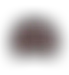 westerenreitcap-western-caps-basecap-reitcap-Westernbekleidung_outfit-cowgirl_ranch-girls_oswsa-damenbekleidung