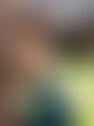 westerntshirt_westernoutfit_reitbekleidung_shirts_cowgirl_ranch_girls_westernmode_langarmshirt