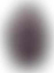 westernbekleidung-damen-sweatshirt-shiny-ranch-girls-bekleidung