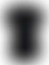 westerntshirt_westernoutfit_reitbekleidung_shirts_cowgirl_ranch_girls_westernmode_oswsa_westernreitbekleidung_damen_westernre