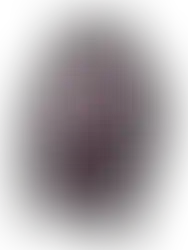 westernbekleidung-damen-sweatshirt-shiny-ranch-girls-bekleidung