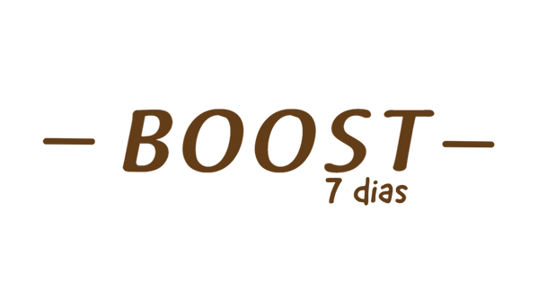logo boost2.1 (4).png