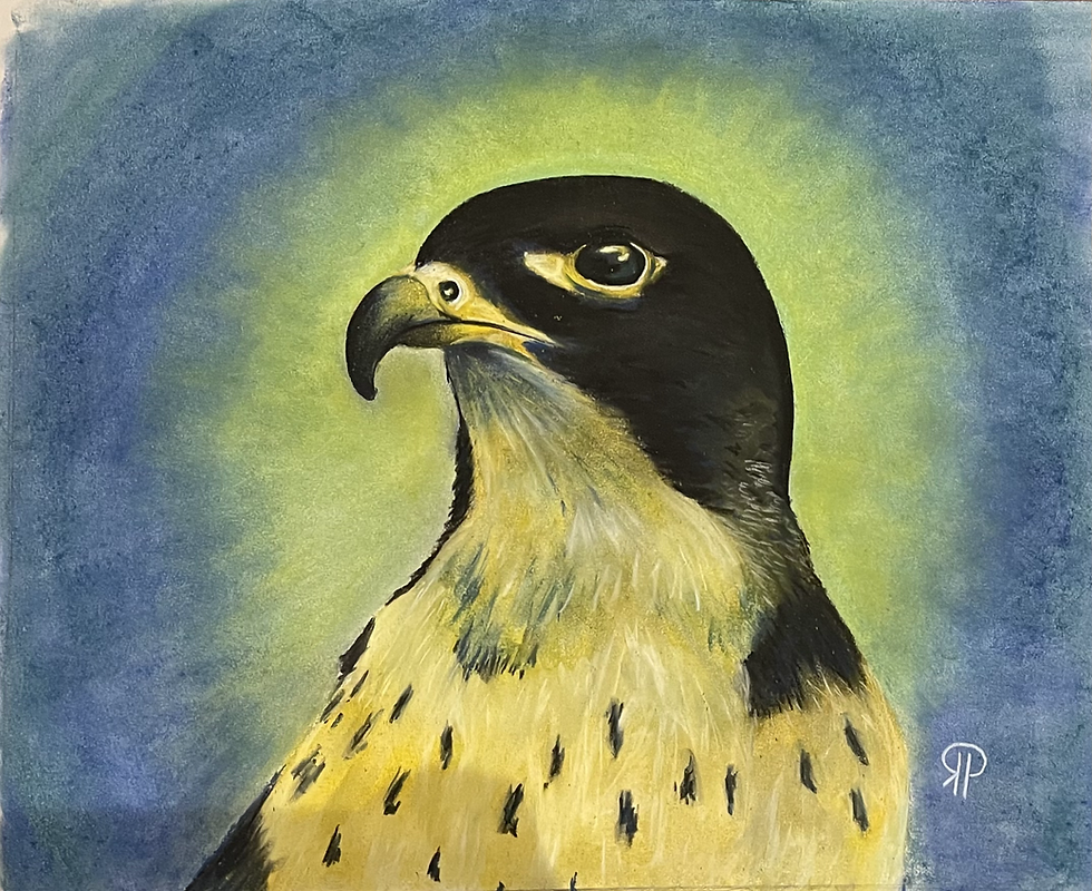 “For the Birds” Pastel Wall Art