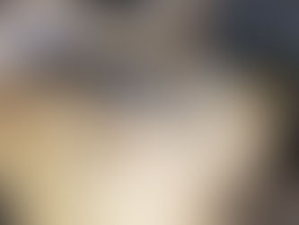 Charly nous présente Santinlog 