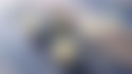 Easy DIY Wedding Cupcakes