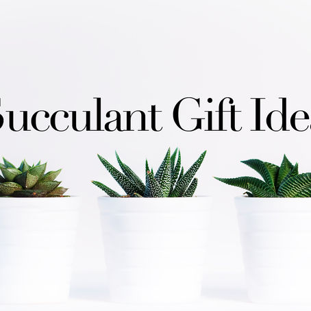 Succulent Gift Ideas | DIY Summer Crafts | Party Favors