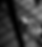 DSC04822_edited.png