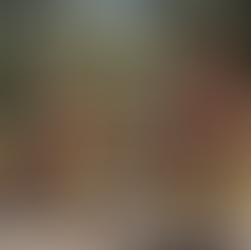 The Ultimate Guide to Taming Dragons While Dancing with Giraffes