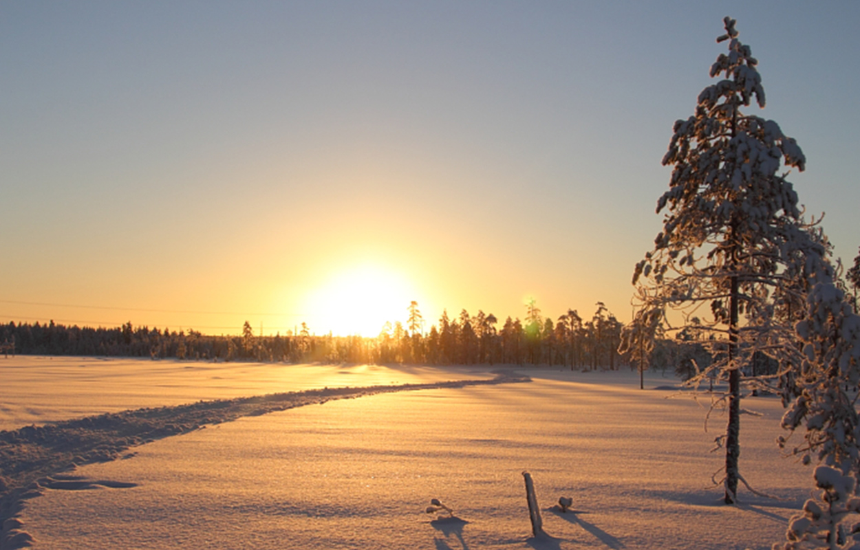 Muskoka Stay N' Play Tours