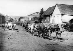 JAGUARIAÍVA DÉCADA DE 1920