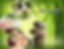 3. Naturopathy.jpeg