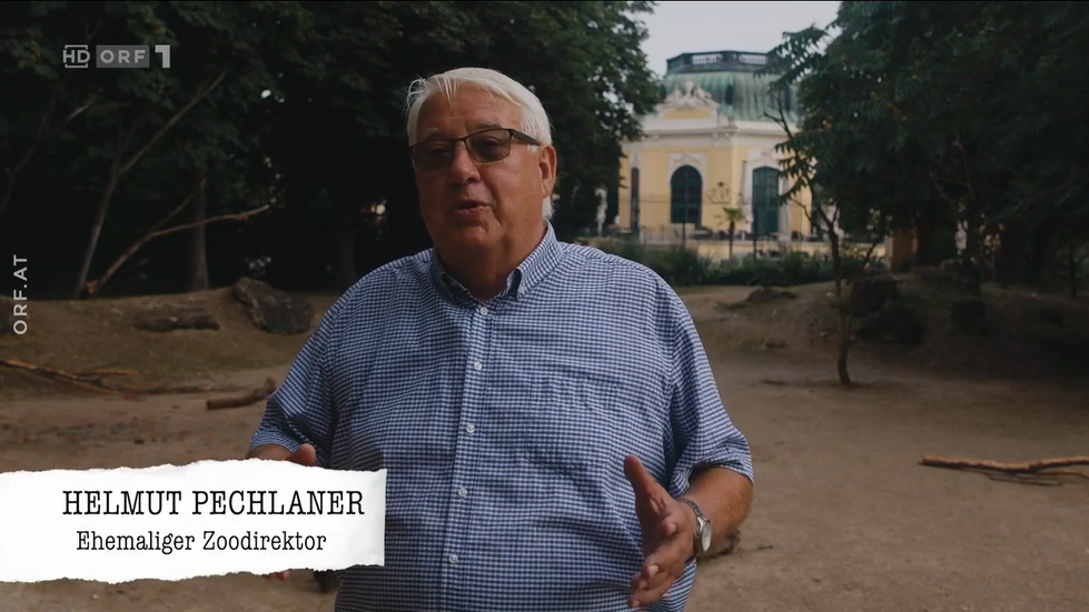 Fernsehgeschichten Thomas Brezina 30 Jahre Tom Turbo 2023 39-7 screenshot