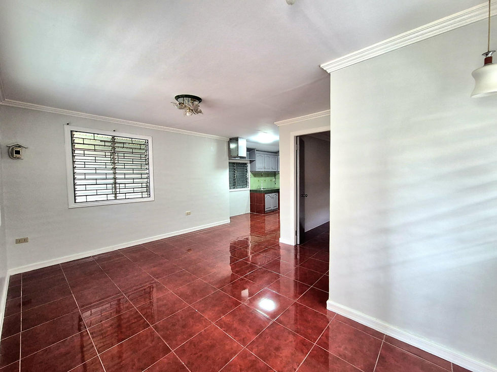 San Carlos city saint john HL157 009.jpg