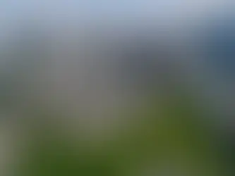 Industrial and Logistics Real Estate Gains Momentum as Supply Chains Shift to Southeast Asia